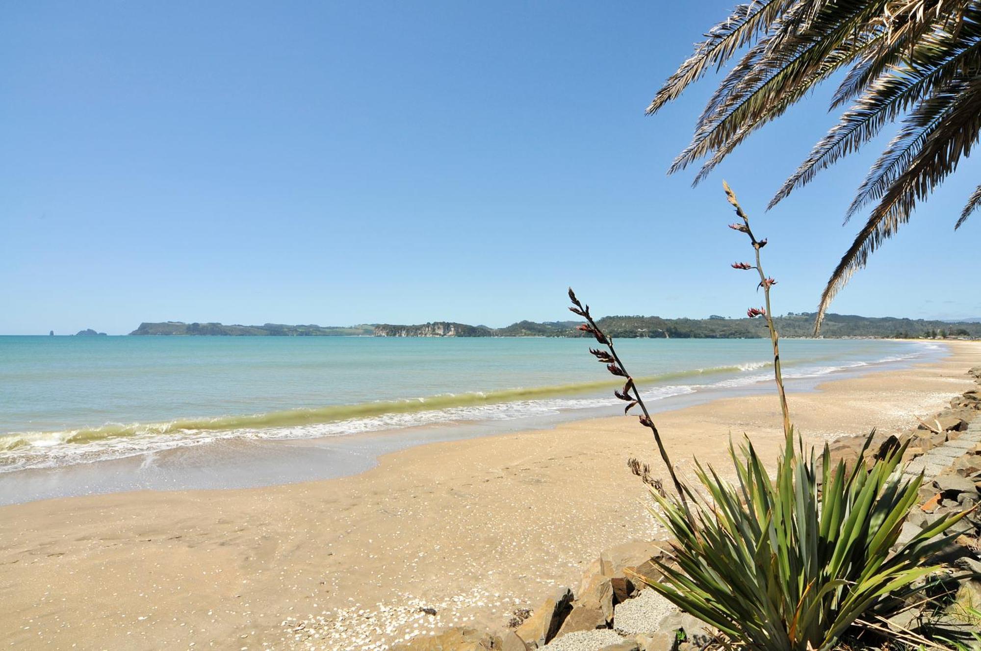 Whitianga Campground Exteriér fotografie