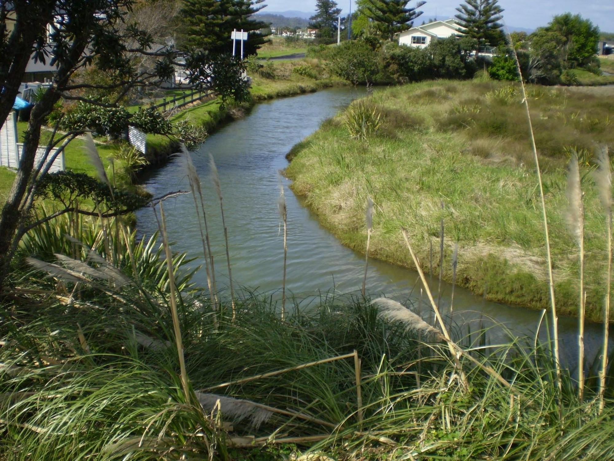 Whitianga Campground Exteriér fotografie
