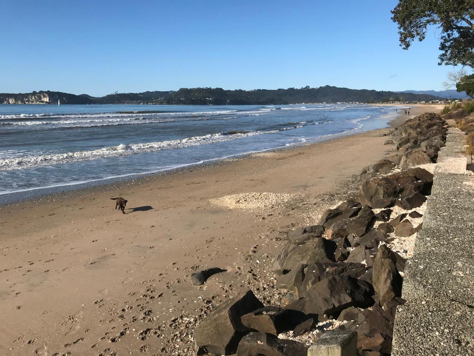 Whitianga Campground Exteriér fotografie